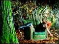 Jessie Farrell Nobody Says No Video and Lyrics