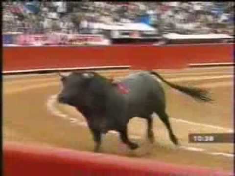 toros