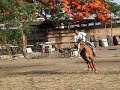 Dangerious turn