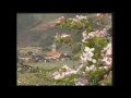 Algund - Südtirol