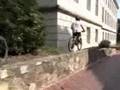 Freeride Forums
