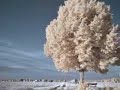 Reiki - yoga - relaxation - meditation