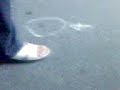 Crime Scene