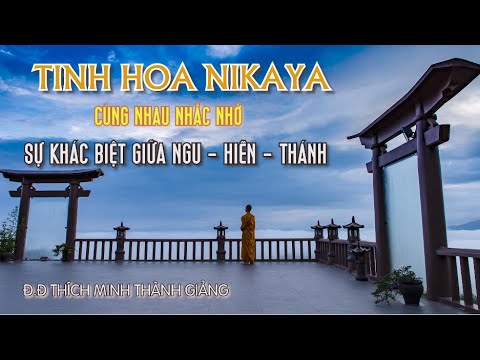 Tinh Hoa NIKAYA - Sự Khác Biệt Giữa Ngu - Hiền - Thánh