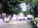 IIM - Ahmedabad IIM - Ahmedabad