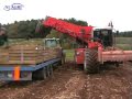 Dewulf RCE3060 self propelled potato harvester