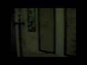 papermoons tour video compilation