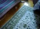 as-aventuras-do-meu-amster.html