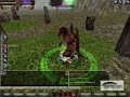 Knightonline warior show