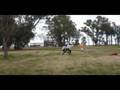 Chascomus 6