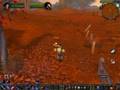 WoW Chicken Pet