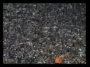 O Jogo mais Emocionante da História !!!