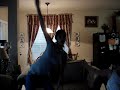 hip-hop-abs.html