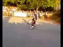 pannonian challenge 2008. pannonian challenge 2008.