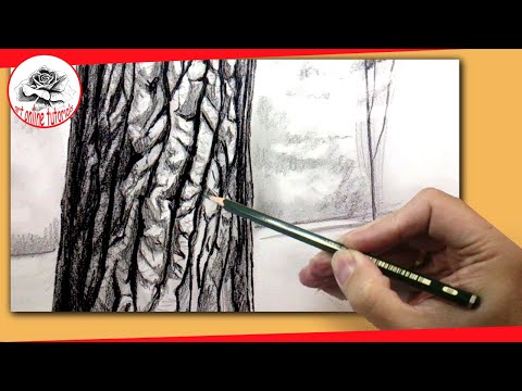 video-linktoworks-How To Draw a Realistic Tree With Pencil: How to Draw ...