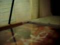 videos de my new skate park