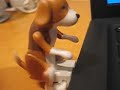 Humping dog