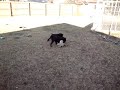 MOV01597.MPG