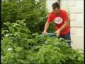 Household Waste Prevention and Recycling