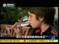 Click here to watch this video 凤凰卫视素食倡议——全民吃素保护母亲
