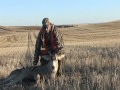 Montana Mule Deer Hunting Hidden Valley Outfitters.