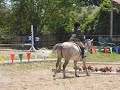 Horse Show at KJM (equitation over fences)