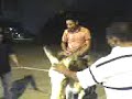dani y la burra