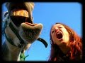 Vidéo humour cheval Funny horse vidéo by 1cheval.com