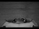 videos de TvH: Tortoise VS Hare