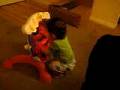 videos de Jayden's NEW toy- Little Star!