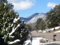 gorgeous,Saturday,morning