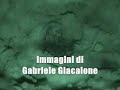 Sulle orme delle tartarughe \"caretta caretta\" a Torre Salsa