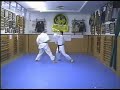 Bunkai Bassai-dai Bunkai Bassai-dai