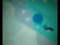 LocoRoco - Pingoo
