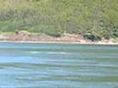 Whale Watching in Alaska part 2