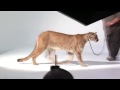 Andrew Zuckerman's Creature