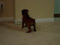 Rocky vs. the 2 Liter