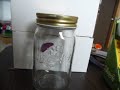Видео Электронные игрушки Электронная бабочка в банке (Butterfly in a jar) 2.0