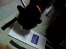 愛猫ベル 箱入り娘