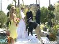 Worst Best Man at a Wedding EVER. Worst Best Man at a Wedding EVER.