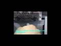 Pulizia Plotter Roland