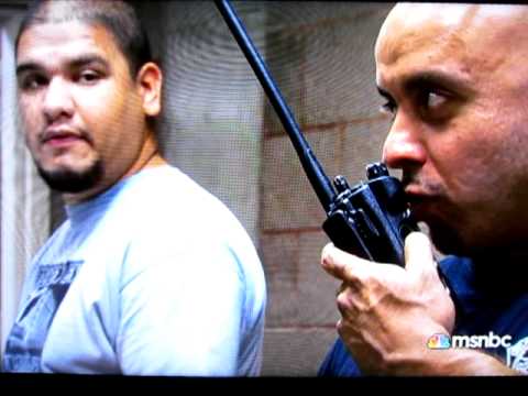 Gangster Disciples