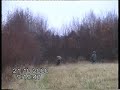 German Shorthaired Pointer Arij�rven Ii
