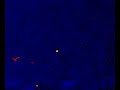 david gilmour live   shine on you crazy diamond