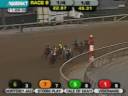 Hill N Dale Cigar Mile - Tale of Ekati by DQ
