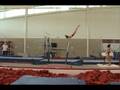 jaime-pisani-bars
