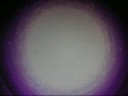 Tim Chatfield - Lonely Tim Chatfield - Lonely