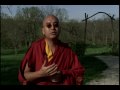 Yongey Mingyur Rinpoche on Meditation & Panic Attacks