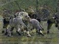 1986: Michigan-27 Michigan State-6