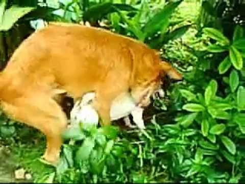 lovemaking | にこ☆びで
